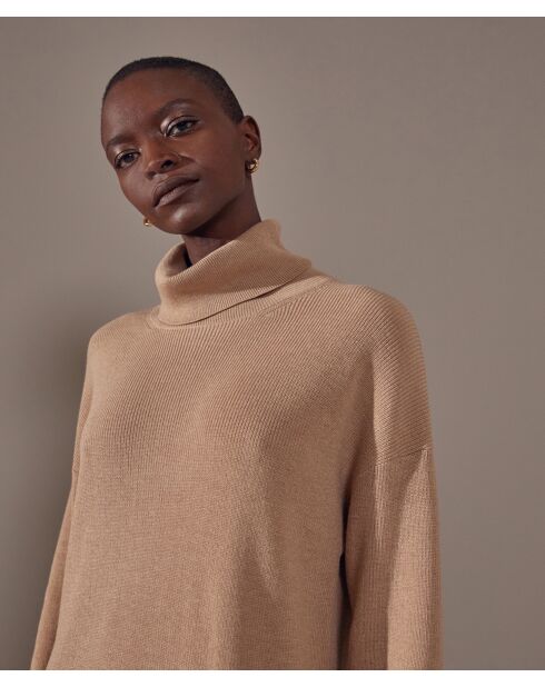 Robe Iris, droite, col roulé marron moka