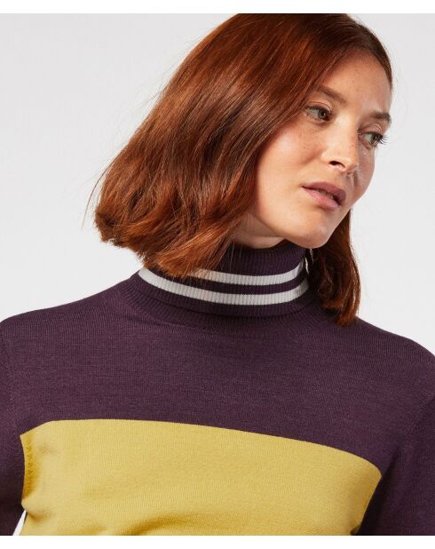Pull Karla col roulé bicolore violet aubergine