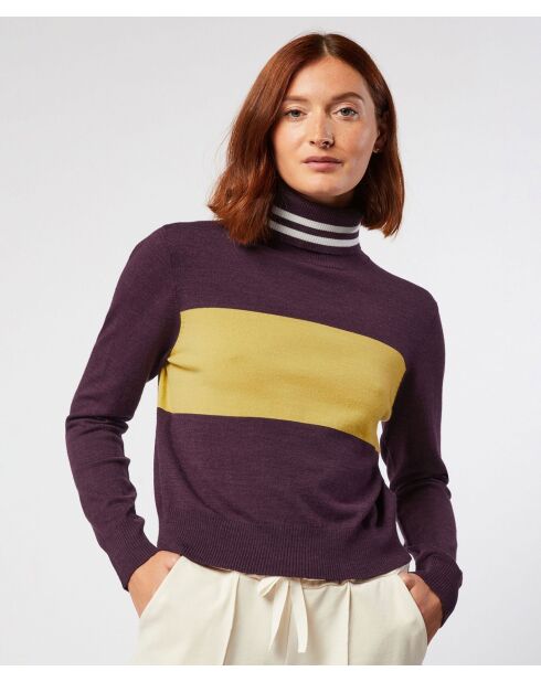 Pull Karla col roulé bicolore violet aubergine
