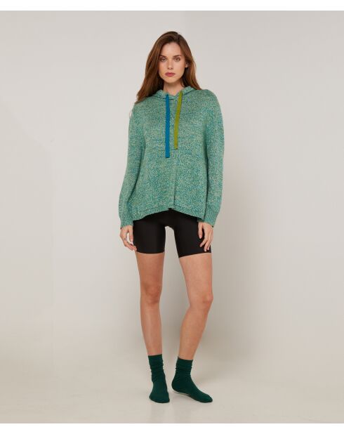 Pull Hortensia à capuche chiné vert