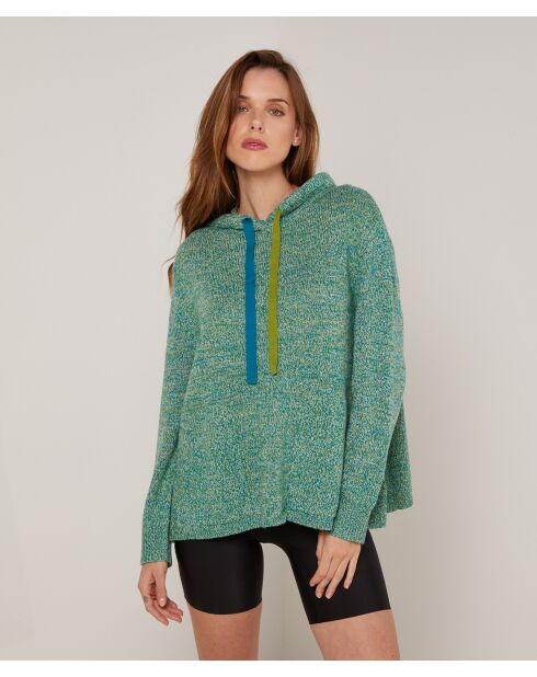 Pull Hortensia à capuche chiné vert