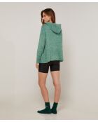 Pull Hortensia à capuche chiné vert
