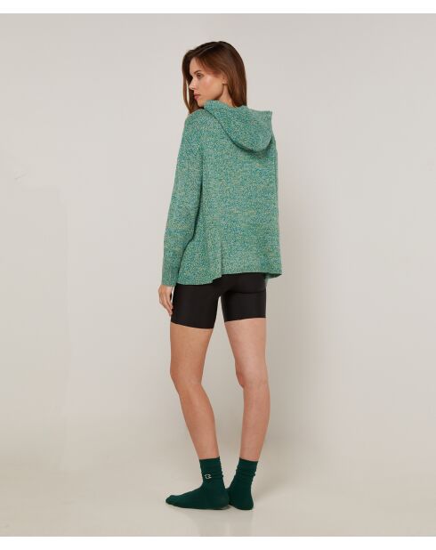 Pull Hortensia à capuche chiné vert