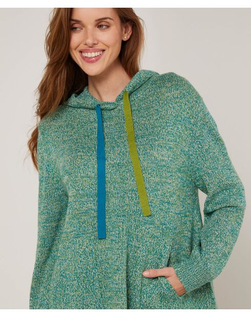 Pull Hortensia à capuche chiné vert