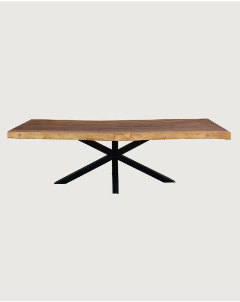 Dempo - Table repas en suar massif L250 cm 12-14 pers.