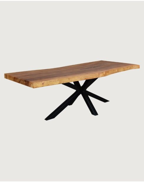 Dempo - Table repas en suar massif L250 cm 12-14 pers.