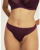 Culotte K Caris Acajou