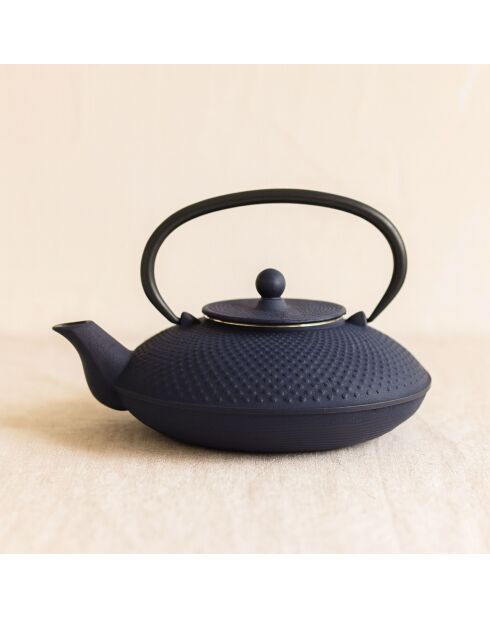 Théière Fuji 0L8En Fonte Bleue