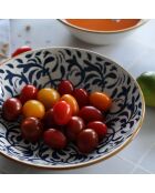 6 Assiettes Creuses
Héraclée 20Cm En Grès
Décor Bleu