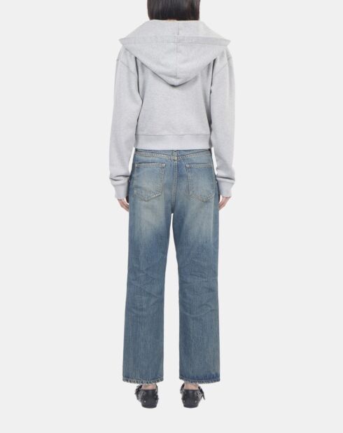 Sweatshirt Blazon à capuche gris clair