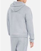 Sweatshirt à capuche Blason gris