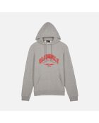 Sweatshirt à capuche avec sérigraphie gris