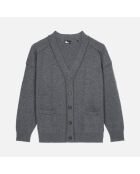 Cardigan en cachemire mélangé gris