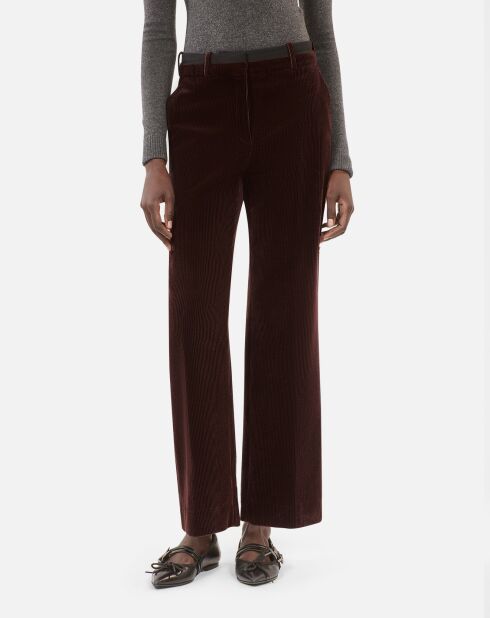Pantalon tailleur droit en velours côtelé brun