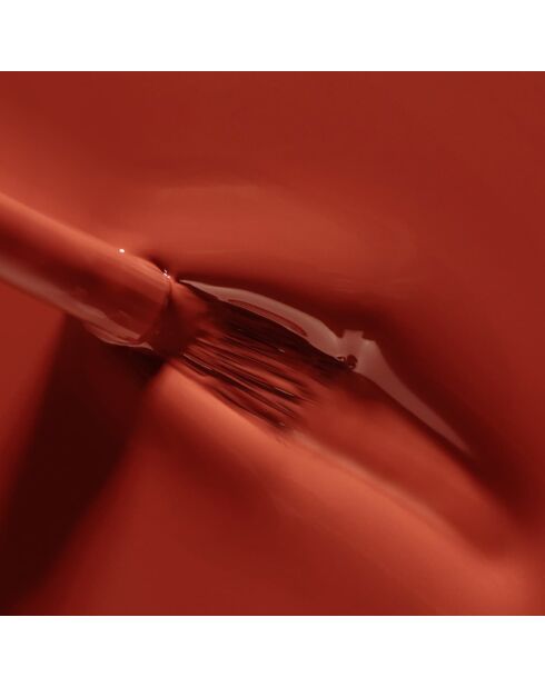 Le quatuor automne 2025