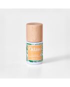 Le vernis semi-permanent Vanille