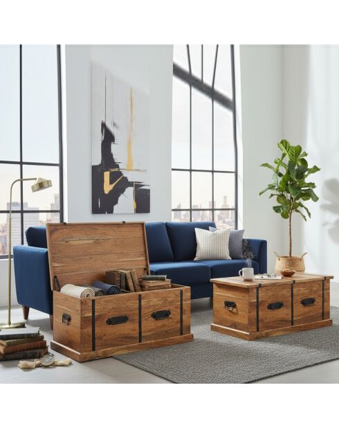 Table basse coffre rectangulaire en acacia massif Marron - 100x55x45 cm