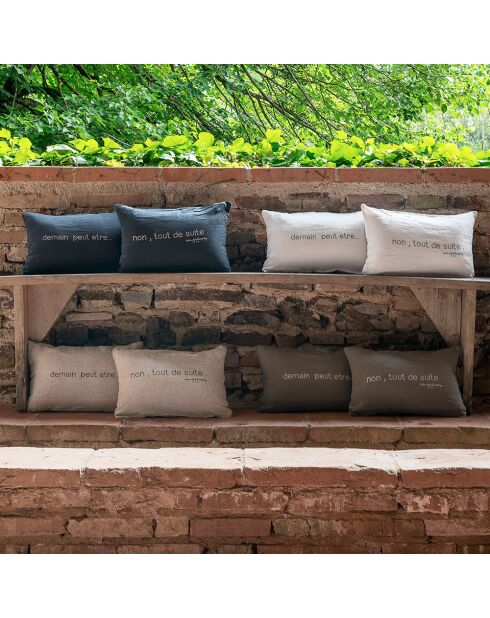 Paire de coussins sérigraphiés en lin verts 25x40cm