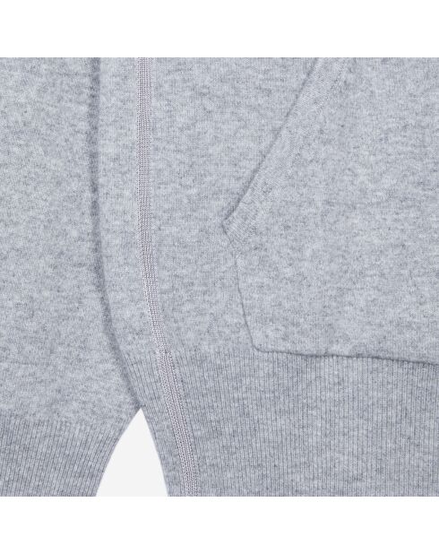Sweatshirt à capuche en laine et cachemire gris