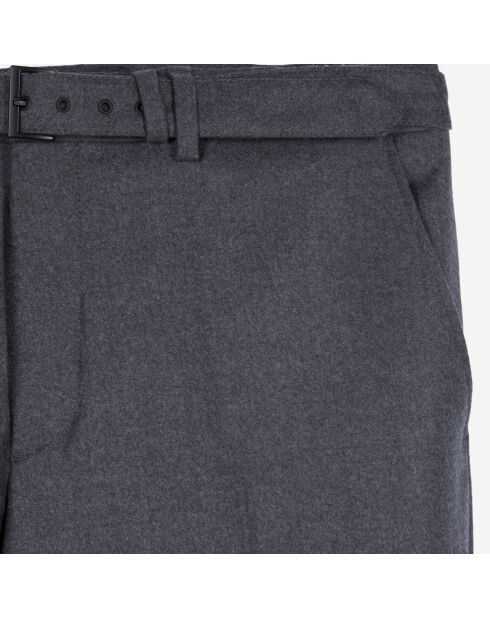 Pantalon de costume en flanelle gris