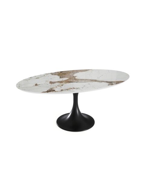 Table à manger NYMPHÉA Pandora pied noir – 180x90x77 cm