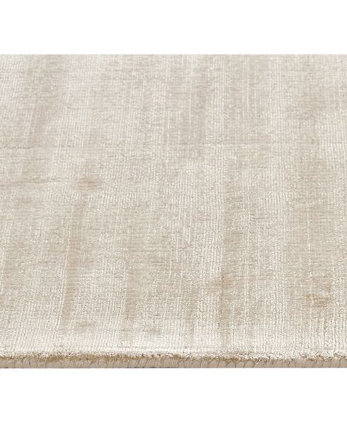 Tapis rectangulaire Nate viscose beige - 300x400cm