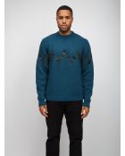 Pull à col rond Yloria tons pétrole et verts