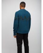 Pull à col rond Yloria tons pétrole et verts