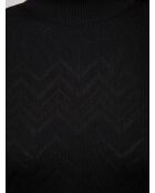 Pull à col roulé Naorys beauté noire