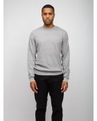 Pull à col rond Xalyne couleur uni gris clair