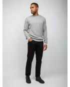 Pull à col rond Xalyne couleur uni gris clair