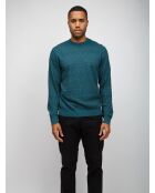 Pull à col rond Arvane tons verts