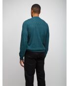 Pull à col rond Arvane tons verts