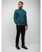 Pull à col rond Arvane tons verts