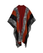 Mantella - Cerynella multicolor