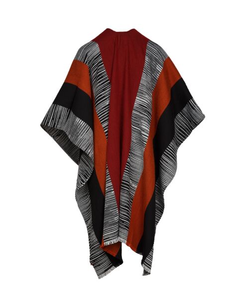 Mantella - Cerynella multicolor