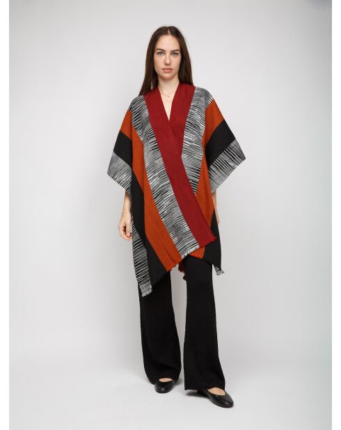 Mantella - Cerynella multicolor