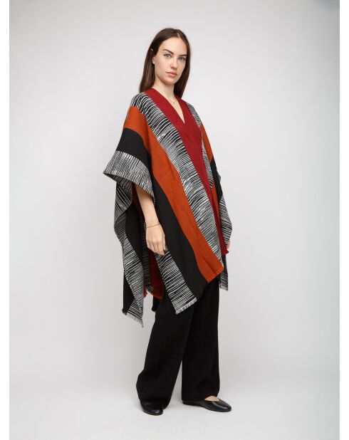 Mantella - Cerynella multicolor