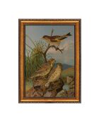 Tableau décoratif sur toile encadrée  50 x 70 cm