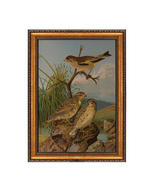 Tableau décoratif sur toile encadrée  50 x 70 cm