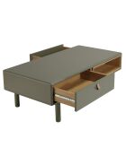 Table basse verte 2 tiroirs et 2 niches en bois naturel