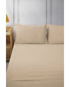 Drap housse bonnet 30 cm bni latte