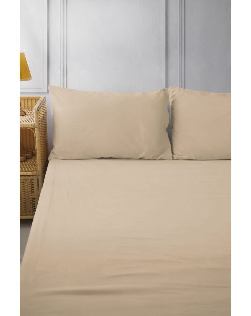 Drap housse bonnet 30 cm bni latte