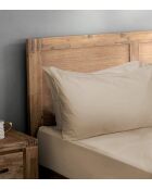 Drap housse bonnet 30 cm bni latte