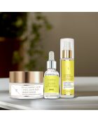 Set Bienengift und Honig, 3-teilig