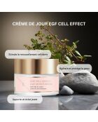 EGF Cell Effect Tagescreme, 50 ml