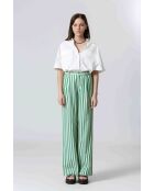 61099020 Camicia bianca