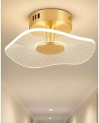 BRZ-343418 lampadario in oro trasparente - 28 cm