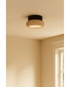 Lámpara de pared Worm-S - Nogal nogal beige - 9 cm