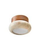 Lámpara de pared Worm-S - Roble beige roble - 9 cm